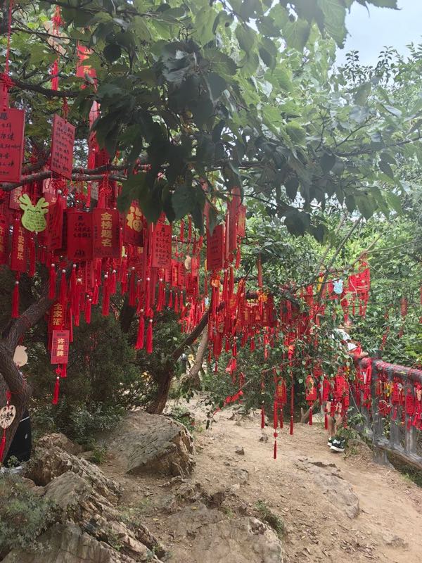 China, photo 3 of 8